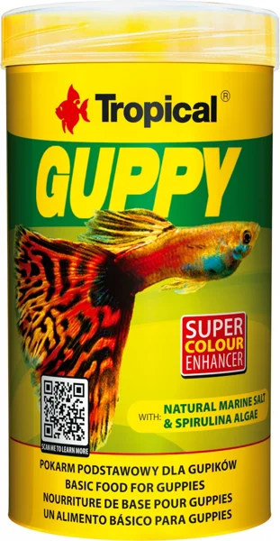 Tropical Guppy