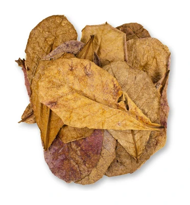 Hojas de almendro (bolsita x5)