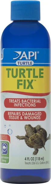 API Turtle Fix