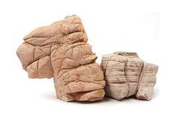 Imagen referencial de Roca Shell Vein (por kilo)