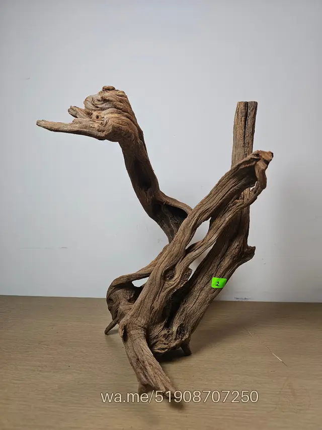 Tronco 2, 20 × 40 cm: pieza única de nuestro stock