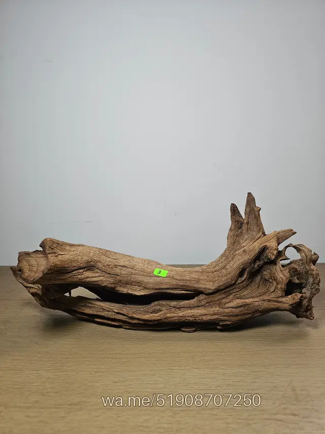 Tronco 3, 48 × 20 cm: pieza única de nuestro stock