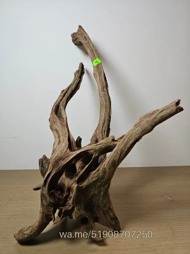 Tronco 4, 23 × 50 cm: pieza única de nuestro stock