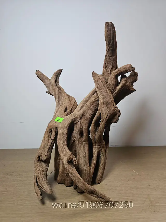 Tronco 5, 30 × 38 cm: pieza única de nuestro stock