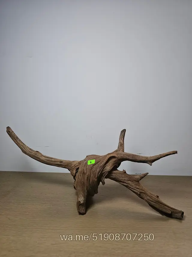 Tronco 6, 50 × 25 cm: pieza única de nuestro stock
