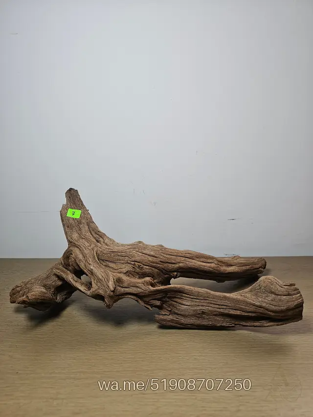 Tronco 7, 40 × 18 cm: pieza única de nuestro stock