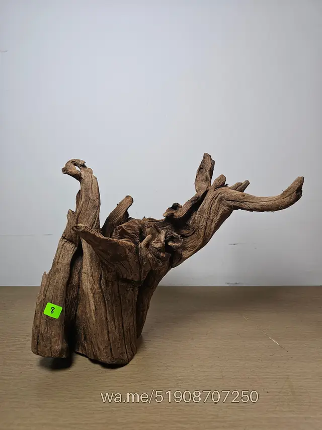 Tronco 8, 30 × 25 cm: pieza única de nuestro stock