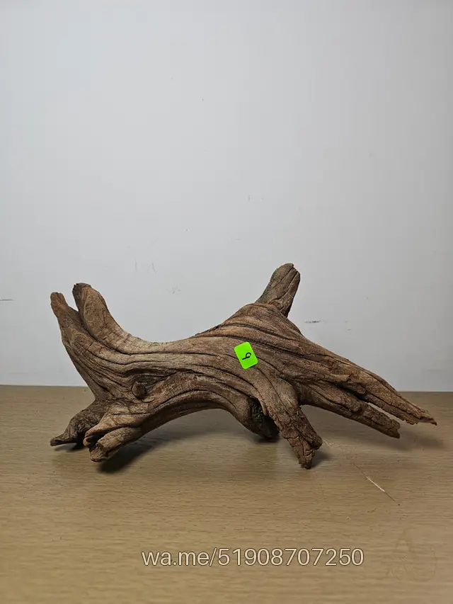 Tronco 9, 30 × 15 cm: pieza única de nuestro stock
