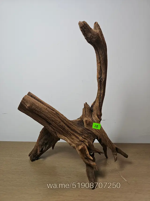 Tronco 10, 38 × 28 cm: pieza única de nuestro stock