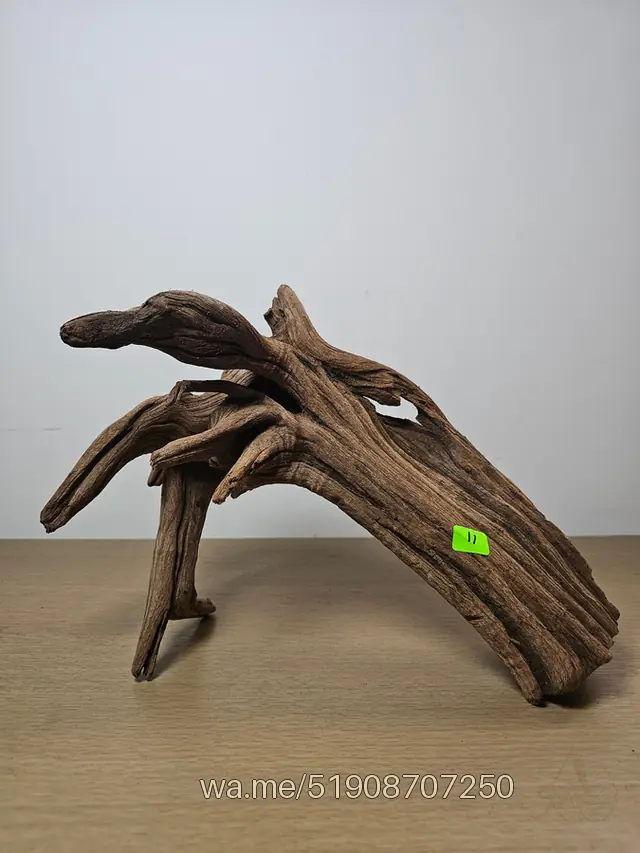 Tronco 11, 30 × 20 cm: pieza única de nuestro stock