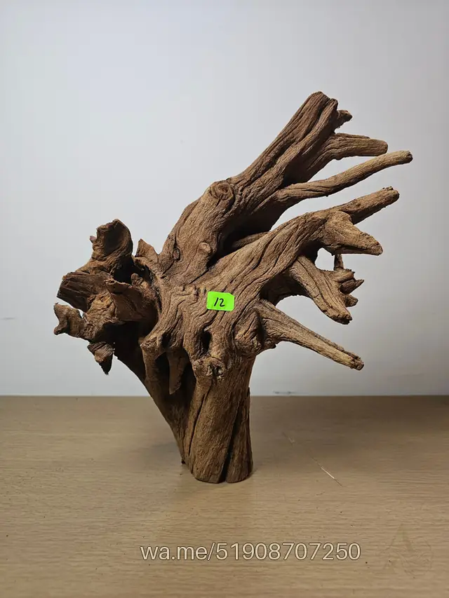 Tronco 12, 28 × 28 cm: pieza única de nuestro stock