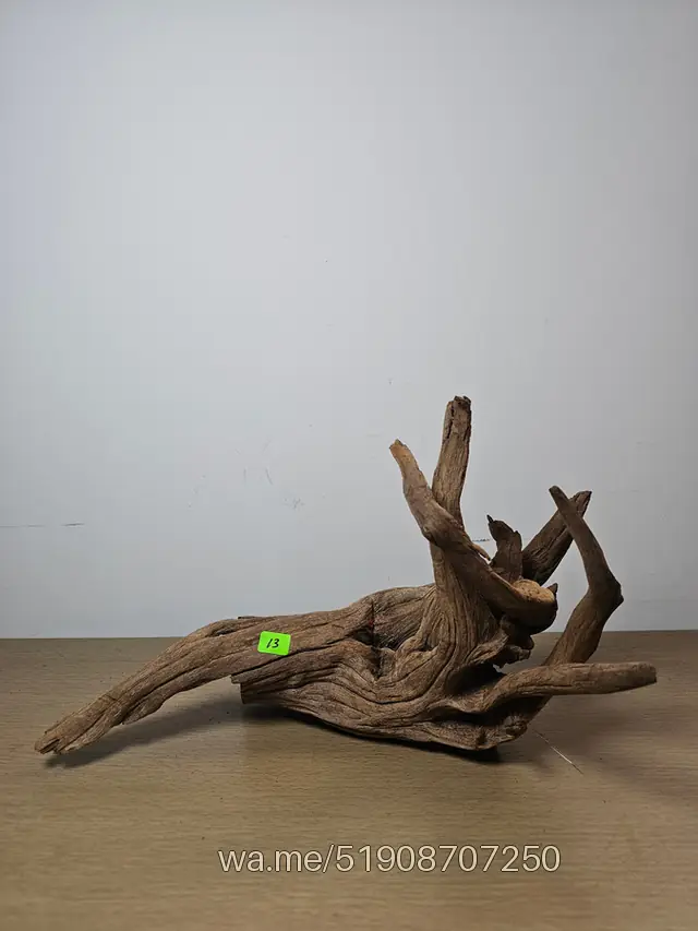 Tronco 13, 33 × 20 cm: pieza única de nuestro stock
