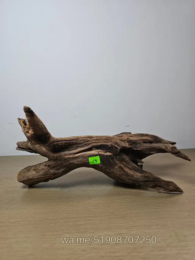Tronco 14, 30 × 15 cm: pieza única de nuestro stock