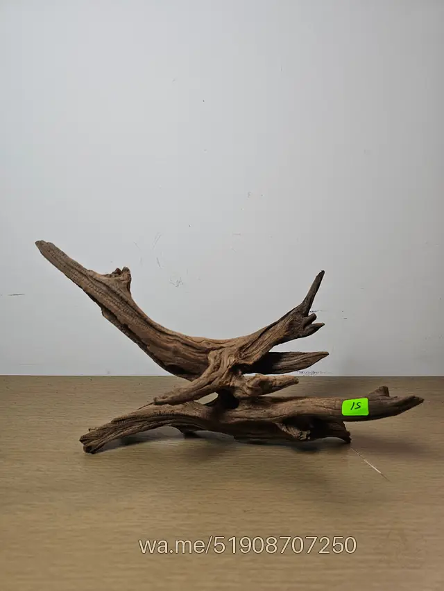Tronco 15, 27 × 17 cm: pieza única de nuestro stock