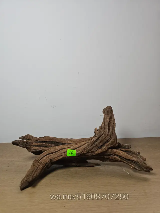 Tronco 16, 18 × 17 cm: pieza única de nuestro stock