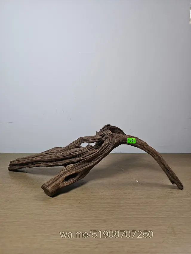 Tronco 17, 40 × 18 cm: pieza única de nuestro stock
