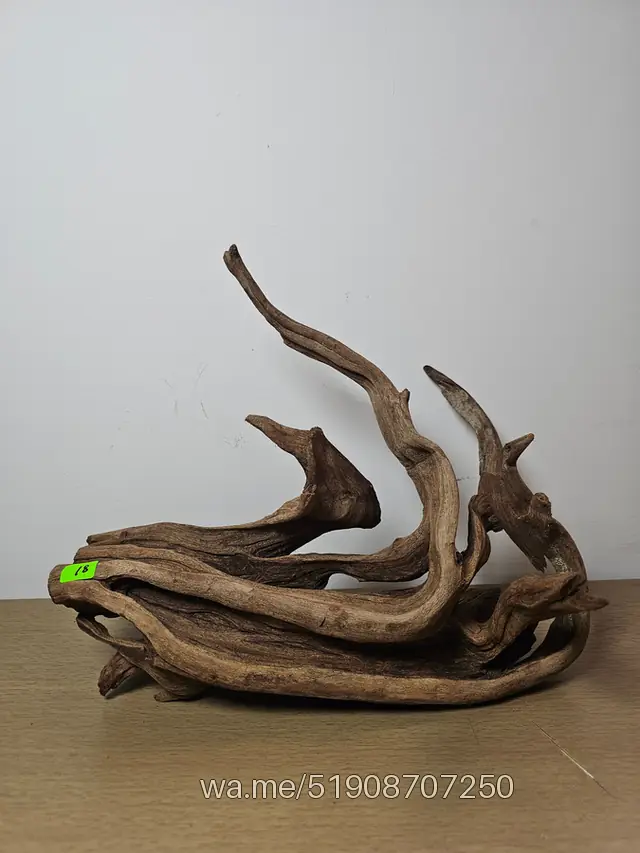 Tronco 18, 30 × 20 cm: pieza única de nuestro stock