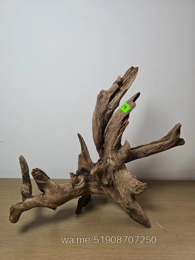 Tronco 19, 33 × 30 cm: pieza única de nuestro stock