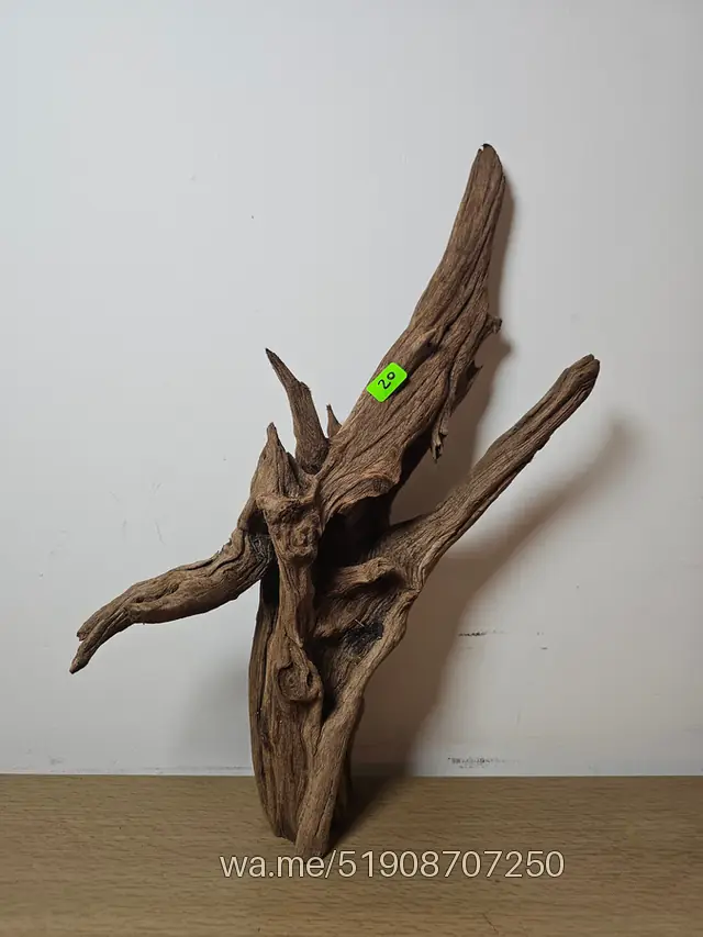 Tronco 20, 17 × 27 cm: pieza única de nuestro stock