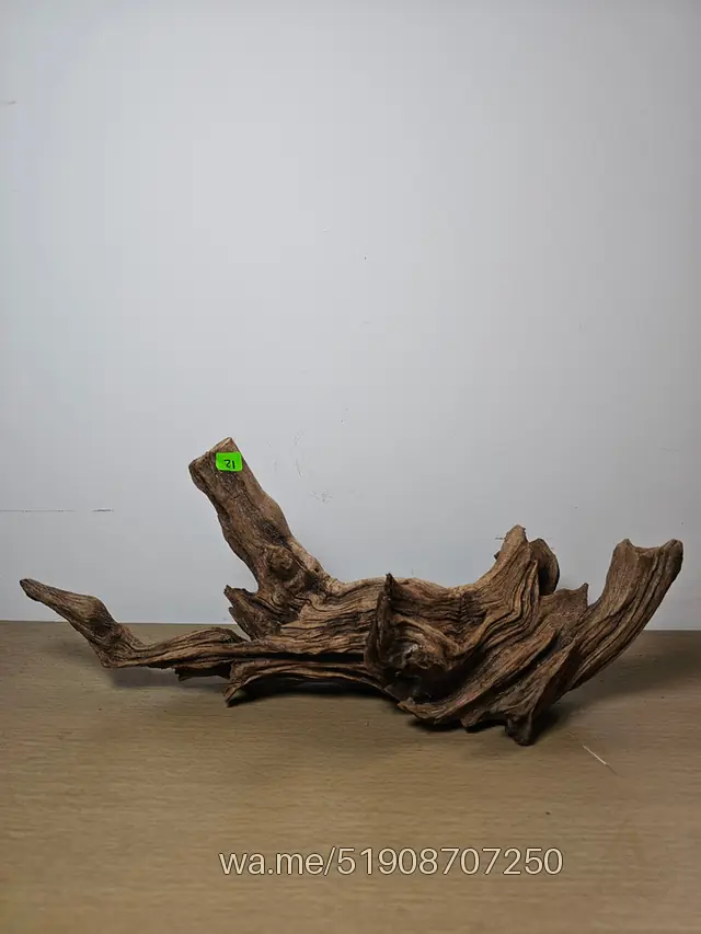 Tronco 21, 45 × 18 cm: pieza única de nuestro stock