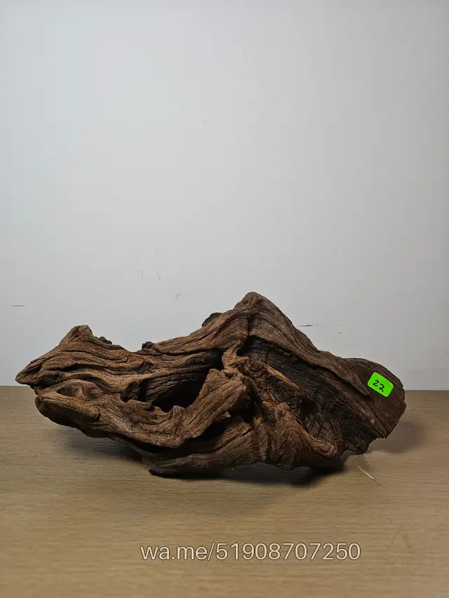 Tronco 22, 30 × 15 cm: pieza única de nuestro stock