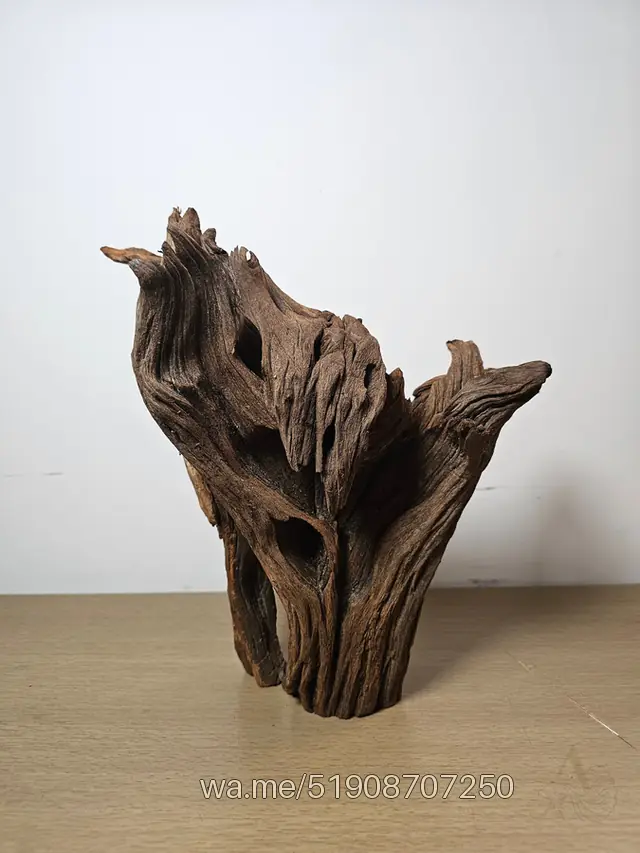 Tronco 23, 25 × 25 cm: pieza única de nuestro stock