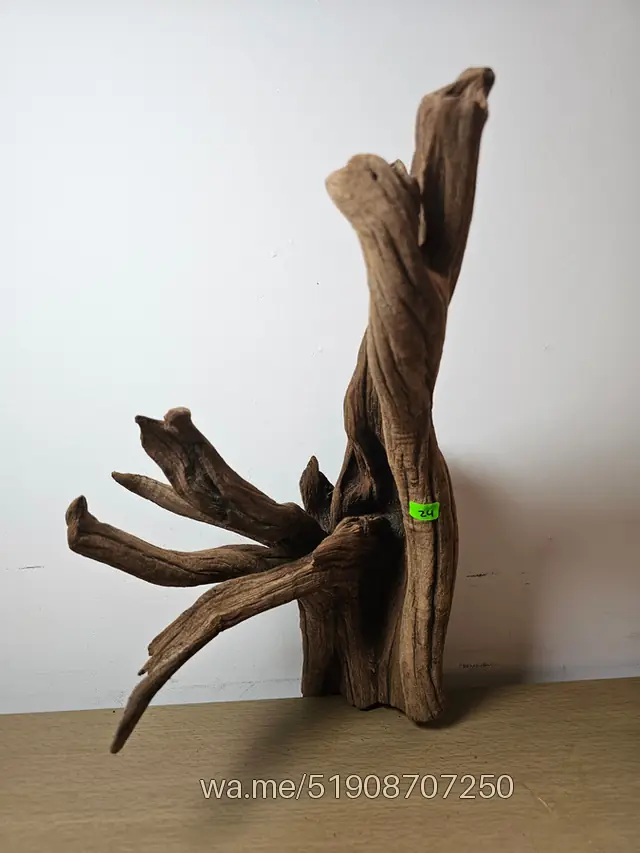 Tronco 24, 20 × 40 cm: pieza única de nuestro stock