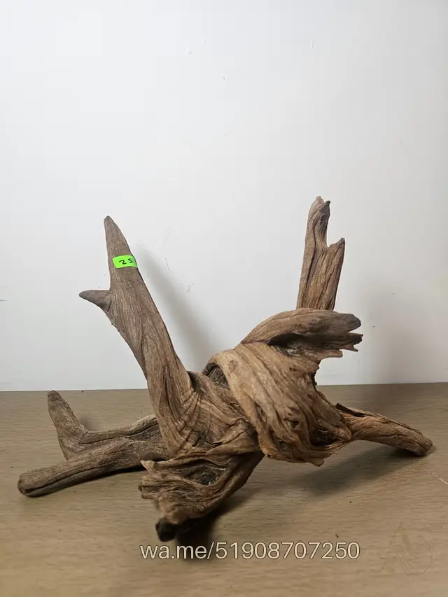 Tronco 25, 30 × 19 cm: pieza única de nuestro stock