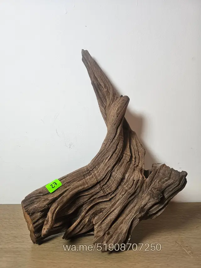 Tronco 27, 20 × 25 cm: pieza única de nuestro stock