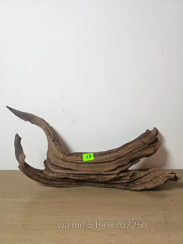 Tronco 28, 35 × 12 cm: pieza única de nuestro stock