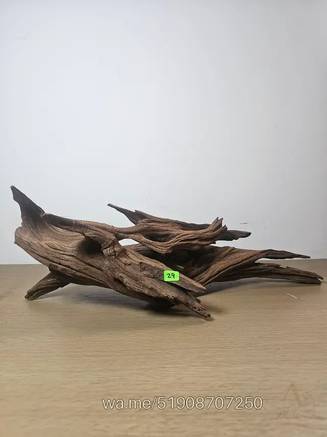Tronco 29, 55 × 37 cm: pieza única de nuestro stock