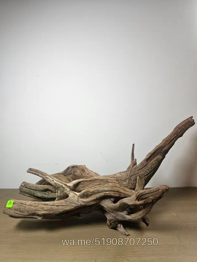 Tronco 30, 55 × 37 cm: pieza única de nuestro stock