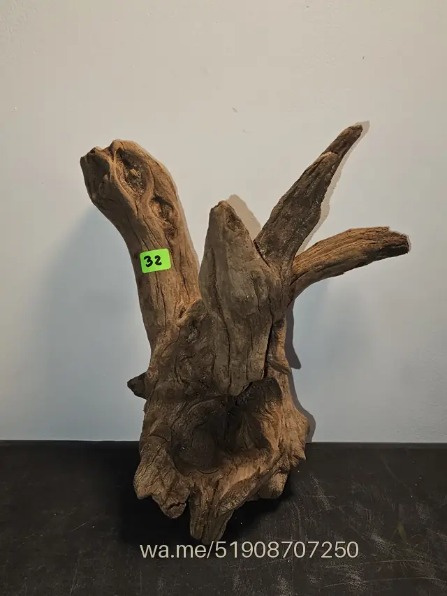 Tronco 32, 22 × 11 × 22 cm: pieza única de nuestro stock