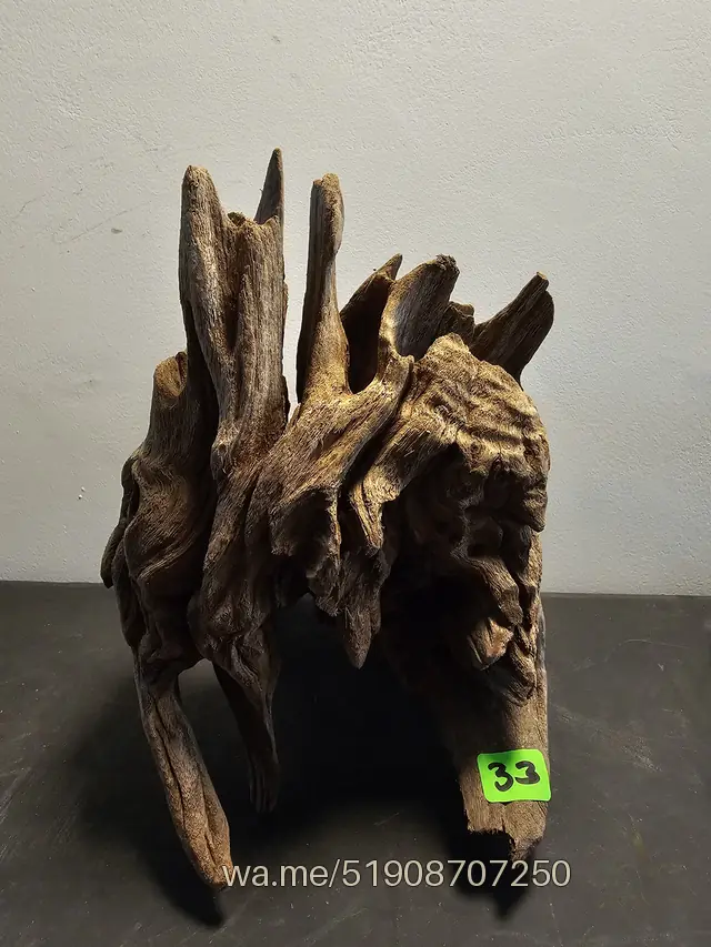 Tronco 33, 13 × 18 × 20 cm: pieza única de nuestro stock
