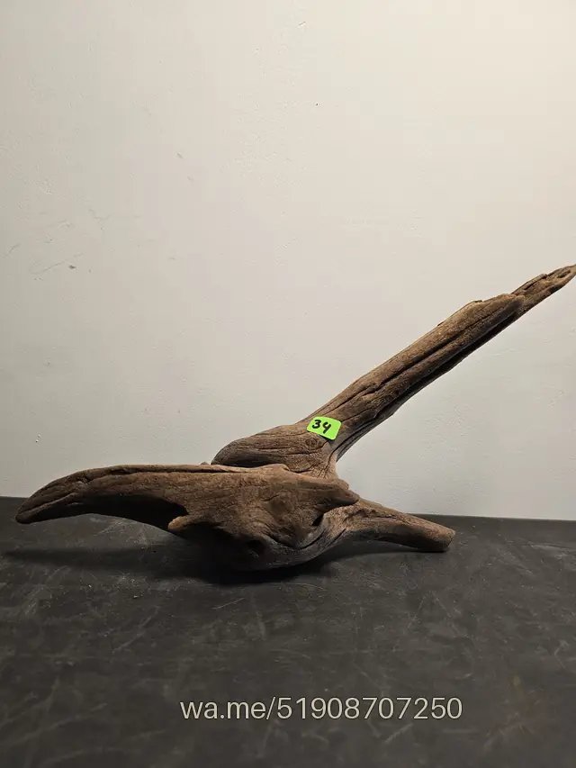 Tronco 34, 32 × 10 × 19 cm: pieza única de nuestro stock