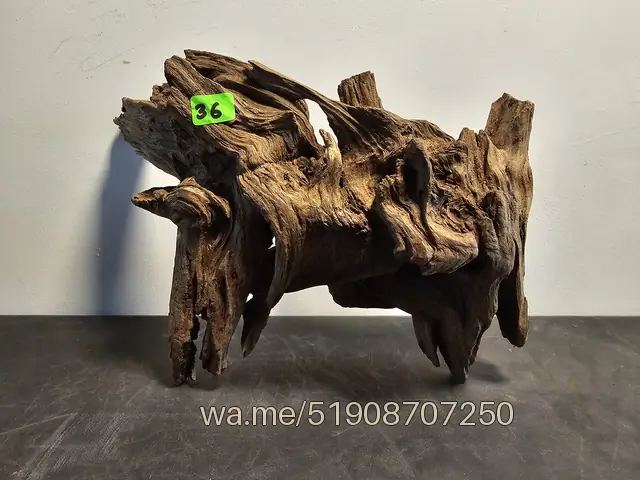 Tronco 36, 29 × 9 × 18 cm: pieza única de nuestro stock