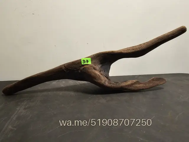 Tronco 37, 35 × 8 × 12 cm: pieza única de nuestro stock