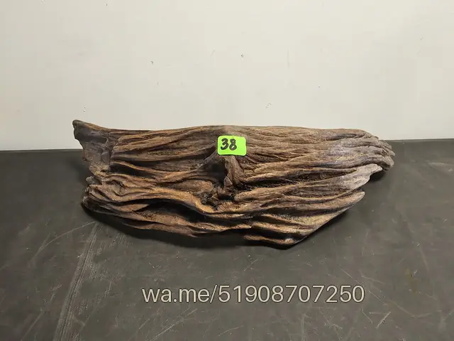 Tronco 38, 33 × 13 × 9 cm: pieza única de nuestro stock