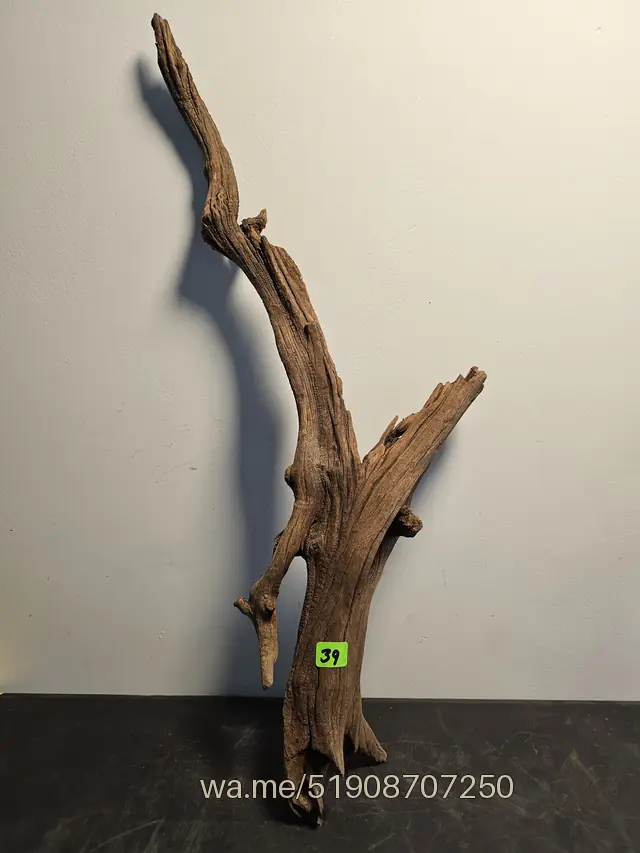 Tronco 39, 20 × 12 × 49 cm: pieza única de nuestro stock