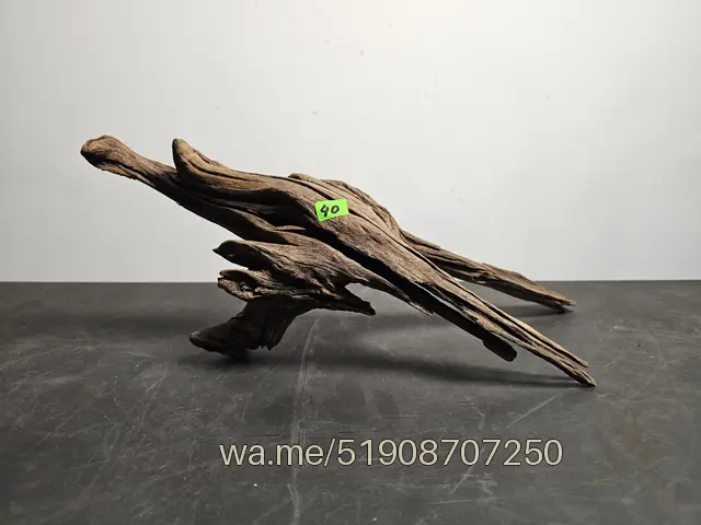 Tronco 40, 36 × 14 × 16 cm: pieza única de nuestro stock