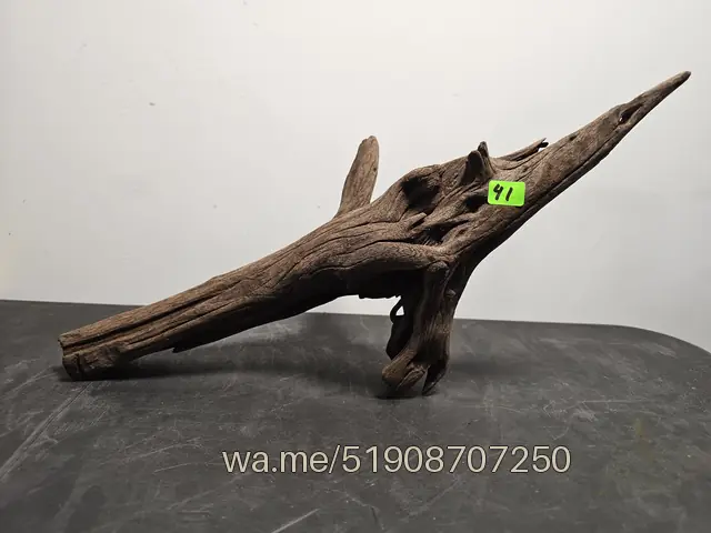 Tronco 41, 35 × 15 × 20 cm: pieza única de nuestro stock