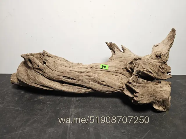 Tronco 42, 44 × 20 × 17 cm: pieza única de nuestro stock