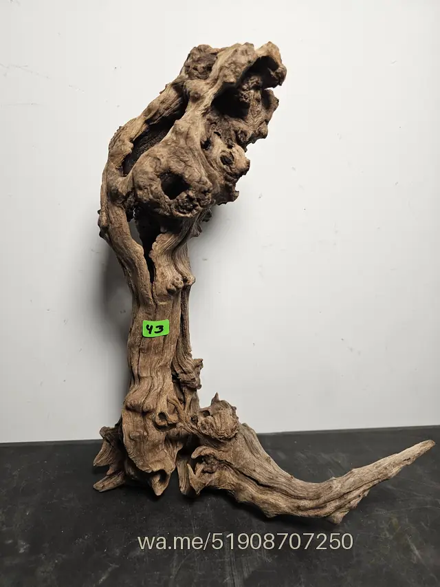 Tronco 43, 24 × 16 × 31 cm: pieza única de nuestro stock