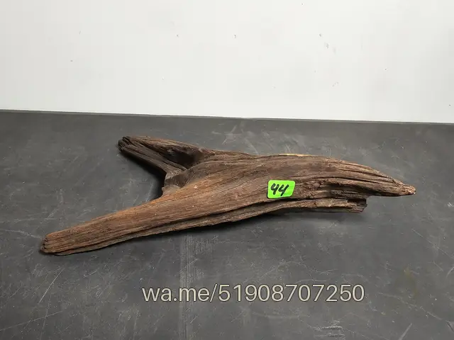 Tronco 44, 25 × 14 × 6 cm: pieza única de nuestro stock