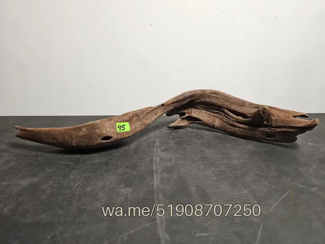 Tronco 45, 42 × 12 × 8 cm: pieza única de nuestro stock