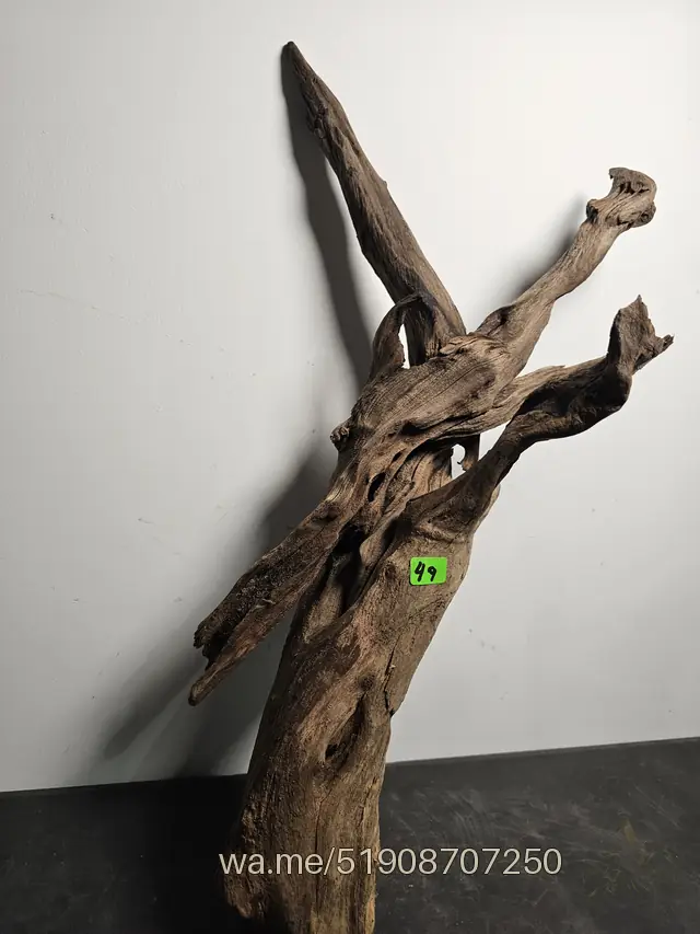 Tronco 49, 26 × 18 × 48 cm: pieza única de nuestro stock