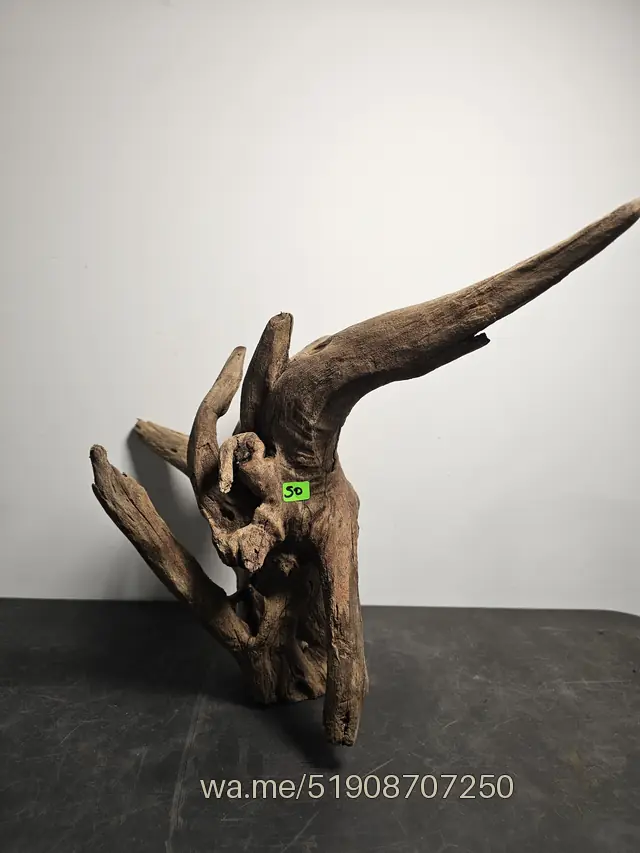 Tronco 50, 36 × 35 × 36 cm: pieza única de nuestro stock