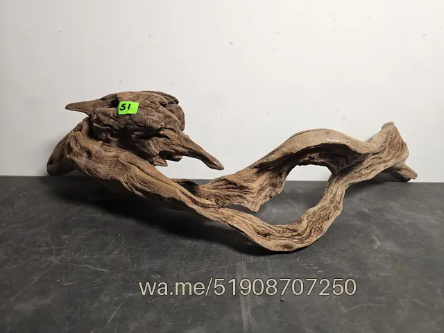 Tronco 51, 47 × 16 × 12 cm: pieza única de nuestro stock