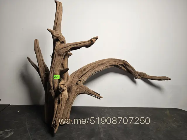 Tronco 52, 60 × 26 × 46 cm: pieza única de nuestro stock