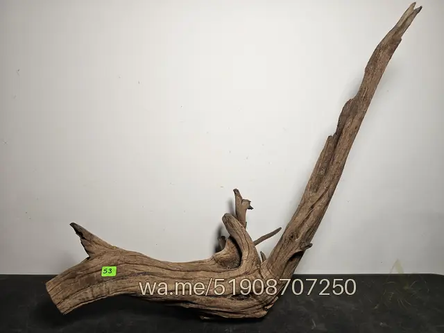 Tronco 53, 45 × 15 × 49 cm: pieza única de nuestro stock